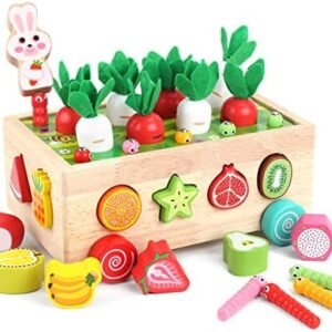 Toddlers Montessori Wooden Educational Toys for Baby Boys Girls Age 1 2 3 Year Old, Shape Sorting Toys 1st One First Birthday Girl Gifts for Kids 1-3, Wood Preschool Learning Fine Motor Skills Game : Toys & Games - Amazon