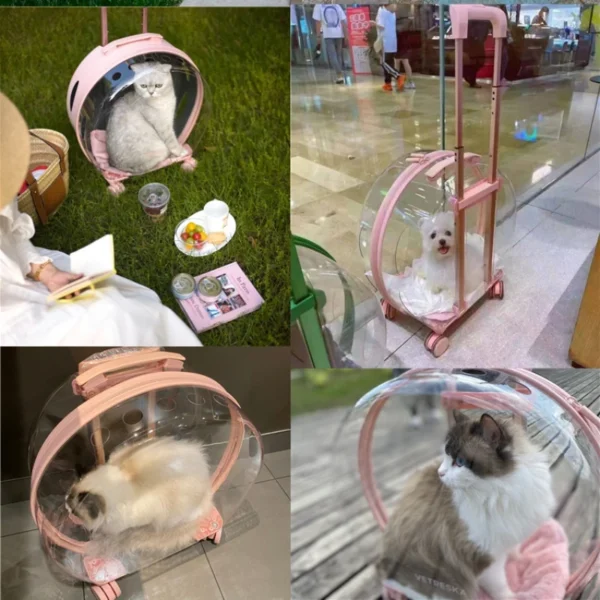 Trolley Suitcase Carrier Transparent Pet Carrying Bag Cats Conveyors Carrying and Strollers Cat Cage with Wheels Pet Products - AliExpress - Image 5