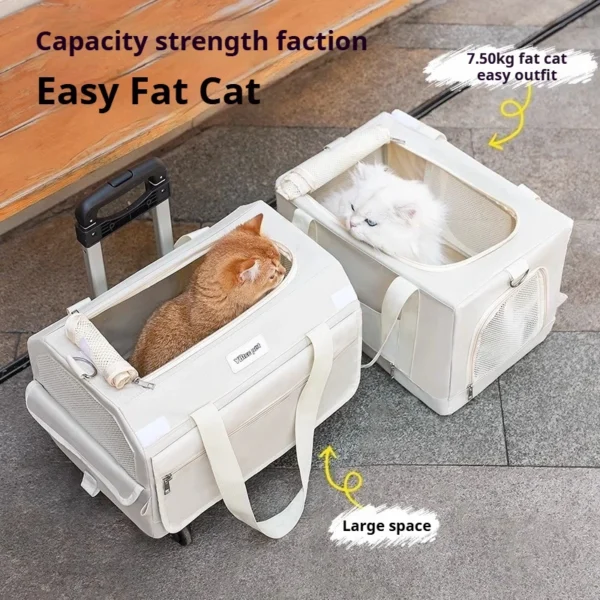 Double Layer Cat Carrier Backpack Foldable Pet Trolley Case Breathable Large Capacity for Two Cats Spring Summer Travel - AliExpress - Image 4