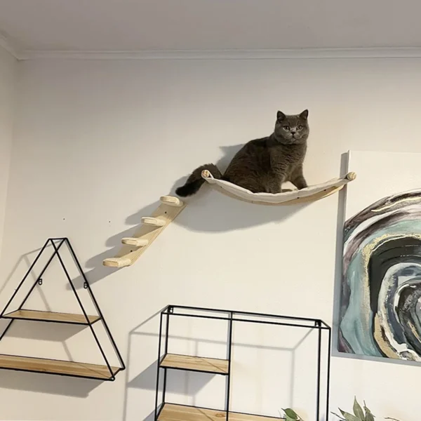 Cat Wall Furniture Climbing Shelf Wall Mounted Steps Stairway With Sisal Rope Scratching Grinding Claws Toy for Most Kitten Cats - AliExpress - Image 3