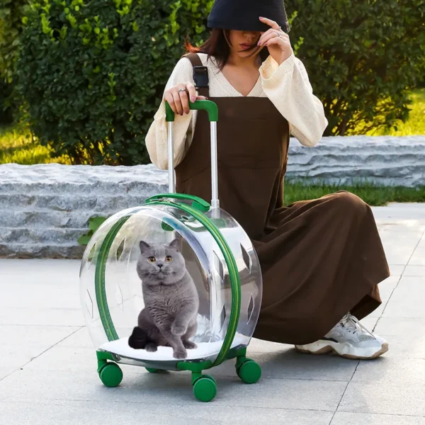 Trolley Suitcase Carrier Transparent Pet Carrying Bag Cats Conveyors Carrying and Strollers Cat Cage with Wheels Pet Products - AliExpress - Image 2