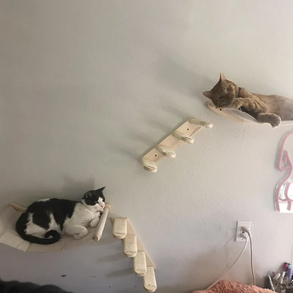 Cat Wall Furniture Climbing Shelf Wall Mounted Steps Stairway With Sisal Rope Scratching Grinding Claws Toy for Most Kitten Cats - AliExpress - Image 5