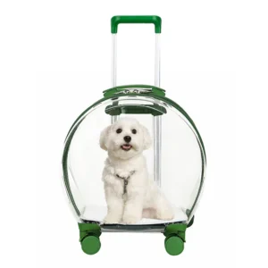 Trolley Suitcase Carrier Transparent Pet Carrying Bag Cats Conveyors Carrying and Strollers Cat Cage with Wheels Pet Products - AliExpress